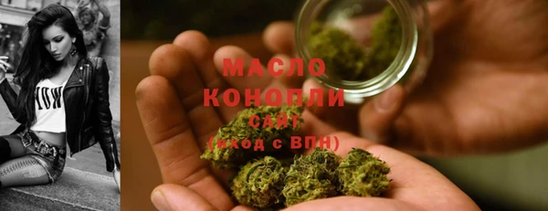 твердый Мегион