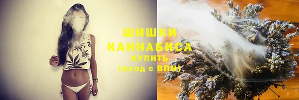 PSILOCYBIN Медногорск