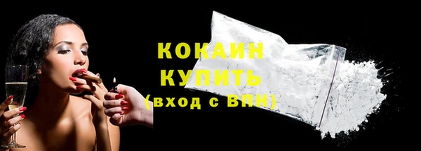 твердый Мегион