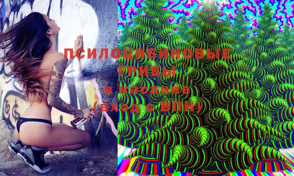 PSILOCYBIN Медногорск