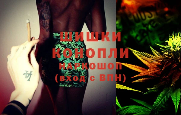 PSILOCYBIN Медногорск