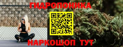 сатива Донской