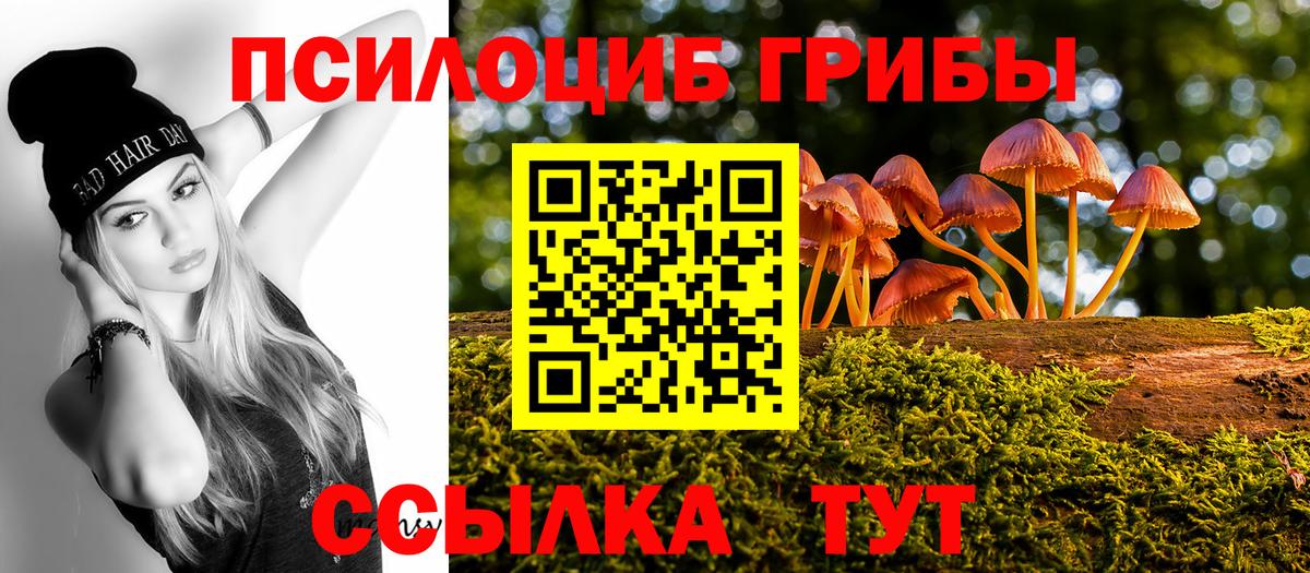 Галлюциногенные грибы Psilocybe Шадринск