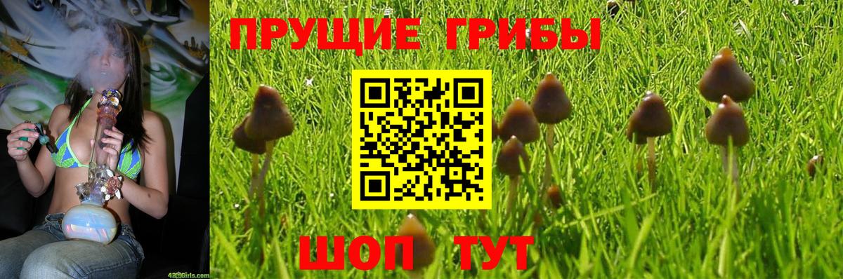 Каннабис  МЕФ  ГАШИШ  АМФ кристаллы  Шадринск  ЭКСТАЗИ  Вход с VPN  МЕФ кристаллы  A-PVP СК  