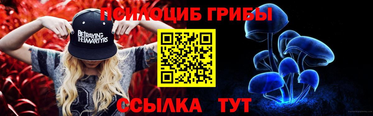 Галлюциногенные грибы Magic Shrooms  Вход с VPN  Шадринск  Галлюциногенные грибы ЛСД 